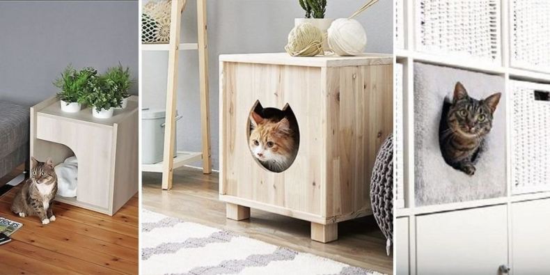 12 крутых идей дизайнерской мебели для кошек