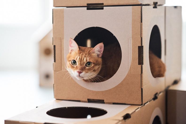Пошаговая инструкция по изготовлению игрового комплекса для кошки