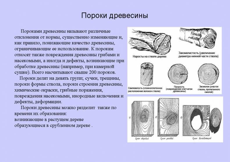 Старинный бакинский порок, который стал торговым трендом — узаконенный обвес